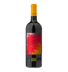 Bibi Graetz Colore 2020