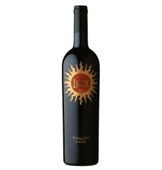 Luce 2019