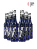 Shotgun Berry Blast [6-Pack]