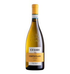 Cesari Lugana DOC Centofilari 2023