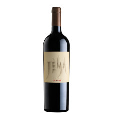 Cesari Jèma Corvina Veronese IGT 2017