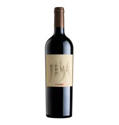 Cesari Jèma Corvina Veronese IGT 2017