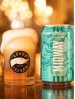 Goose Island Midway Session IPA Craft Beer Cans