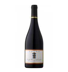 Leyda Syrah Canelo 