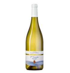 Muscadet Sevre et Maine 1ère Escale 2023