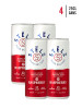 Stëlz Hard Seltzer Raspberry [4-Pack]